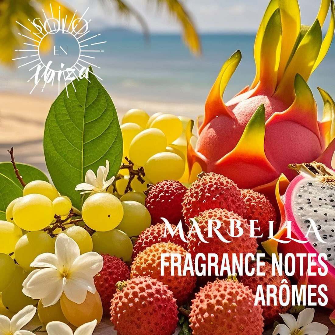Marbella Bundle Perfume 3.4 oz + Body Mist 6.1 oz + Body Cream 8 oz